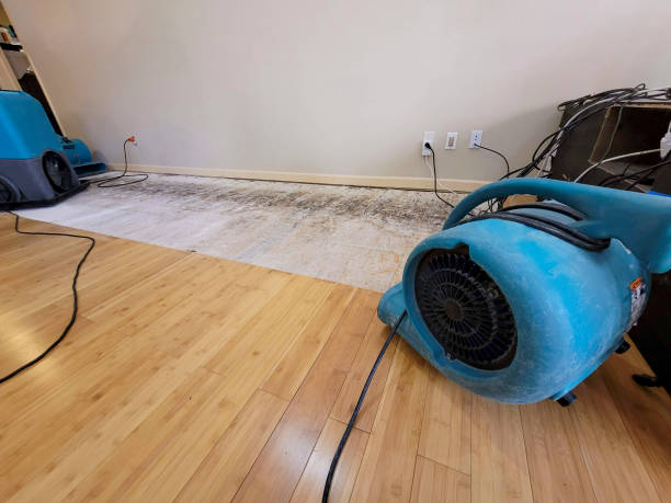 Professional Water Damage Repair technician working in Whitney, SC